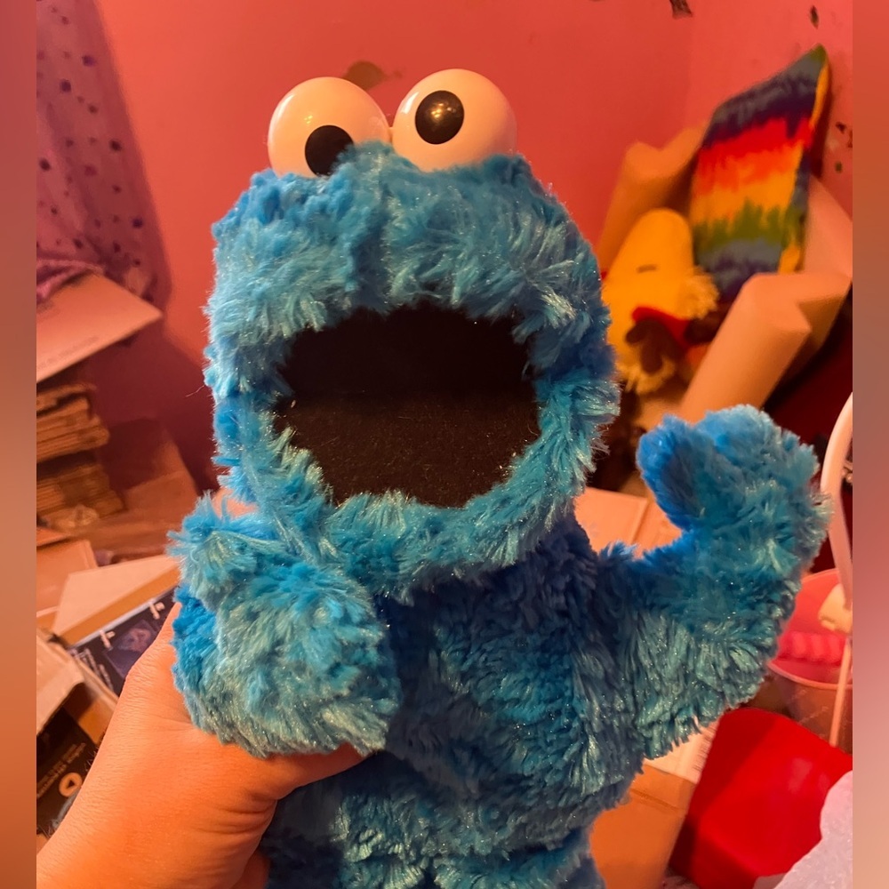 Sesame Street Cookie Monster plush